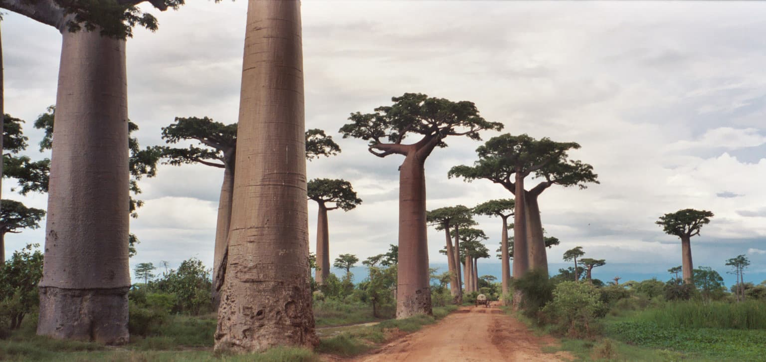 Madagascar
